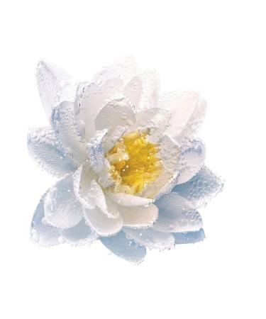 Dior Micellar Milk for Face and Eyes - Purifying Make-Up Remover Milk with French Water Lily 200 ml - Buy Online on GoSupps.com