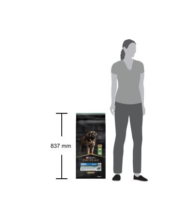 Pro Plan Large Breed Lamb Adult Dog Food 14 kg - Buy Online on GoSupps.com