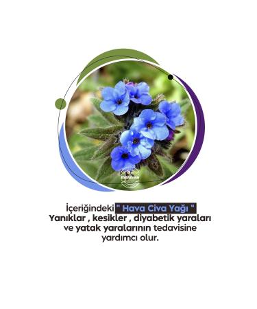 HERBALIZEN Havaciva Essence Cream 50ml - Buy Online on GoSupps.com