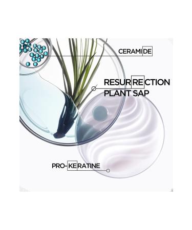 Kerastase Resistance Bain De Force Architecte For Hair Weakened by Wear 250ml - Buy Online on GoSupps.com