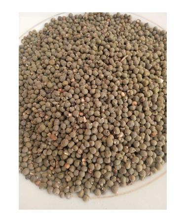 fatos local Okra Seed Local 500 gr (medicine-free - Edible) 1st Quality sifted New Crop