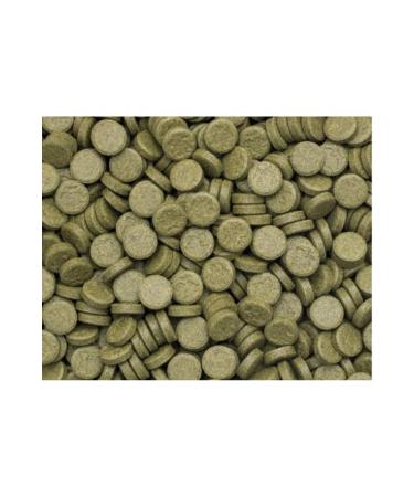 Ozpati Sera Glass Sticking Tablet Food for Aquarium Fish 50 Pieces (Spirulina Nature) - Buy Online on GoSupps.com