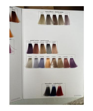 ICOLOR NATURAL Color Naturel 100ml Paint 20 Paints of Your Choice Will Be Sent - Buy Online on GoSupps.com