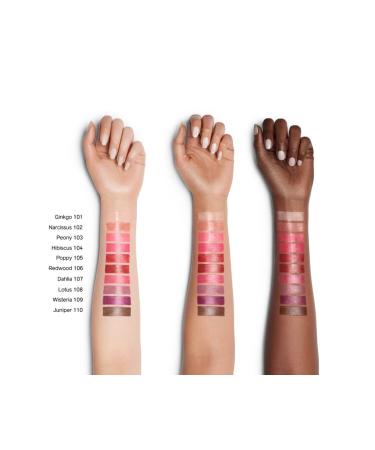 Shiseido Colorgel Lip Balm Softness & Moisture Lip Balm 2 Gr - Buy Online on GoSupps.com