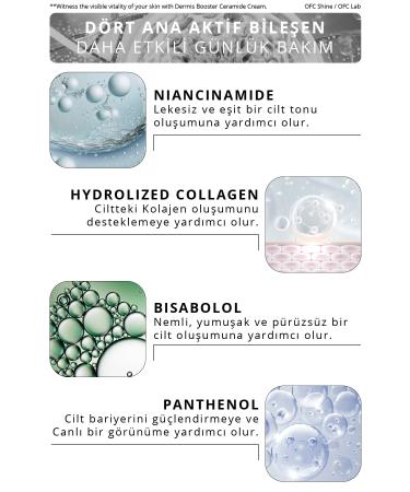 OFC SHINE Dermis Booster Ceramide Cream - Buy Online on GoSupps.com