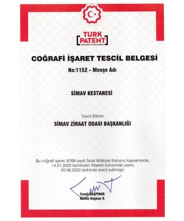 SIMAV SYNAUS Geographically Indicated Chestnut Essence and Thermal Water Shampoo for Men - 250 Ml - Buy Online on GoSupps.com