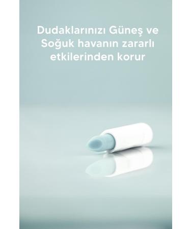 MUJGAN Fruit Magic Aloe Vera Lip Moisturizer Aloe Vera - Buy Online on GoSupps.com