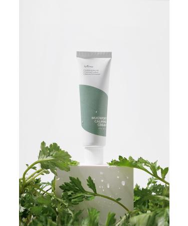Isntree Mugwort Calming Cream 50 ml - Skt: 06.03.2025 - Buy Online on GoSupps.com