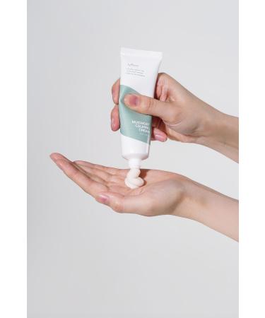 Isntree Mugwort Calming Cream 50 ml - Skt: 06.03.2025 - Buy Online on GoSupps.com