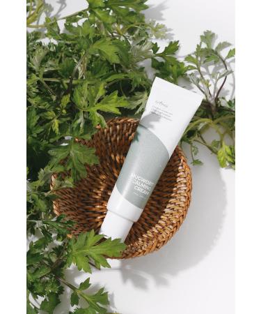Isntree Mugwort Calming Cream 50 ml - Skt: 06.03.2025 - Buy Online on GoSupps.com