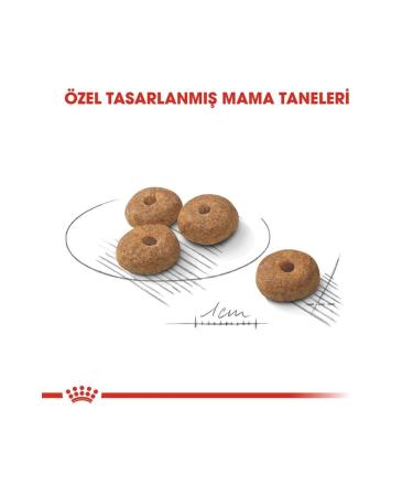 Royal Canin Mini Sterilized Small Breed Sterilized Dog Food 3 Kg - Buy Online on GoSupps.com