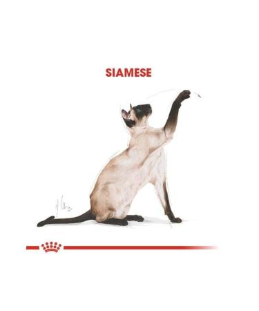 Alisopping Royal Canin Siamese 38 Siamese Cat Special Adult Food 2 Kg - Buy Online on GoSupps.com