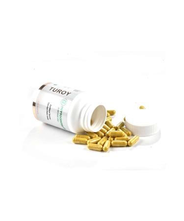PHYTOCENTER Turoy Turmeric and Ginger Supplementary Food 120 Capsules - Buy Online on GoSupps.com