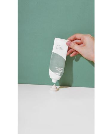 Isntree Mugwort Calming Cream 50 ml - Skt: 06.03.2025 - Buy Online on GoSupps.com