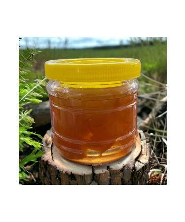 Alt nta Orange Jam 1 Kg (1000 gr) - Buy Online on GoSupps.com