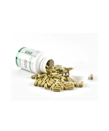 PHYTOCENTER Gsd 120 Capsules Rosemary Containing Supplementary Food Food Supplement Herbal Products - Buy Online on GoSupps.com
