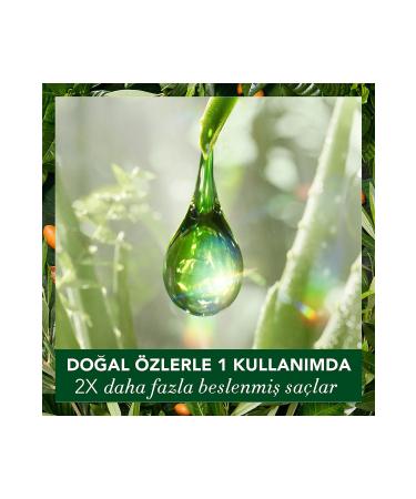 Herbal Essences Vegan Shampoo Repairing Argan Oil 400 ml - Buy Online on GoSupps.com