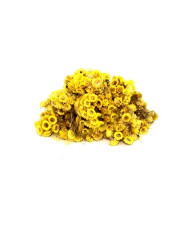 Aktarzane Goldenrod (Goldenrod Yellow Flower Immortelle) 500 gr.