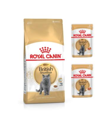 Royal Canin Adult British Shorthair Cat Food 2 Kg
