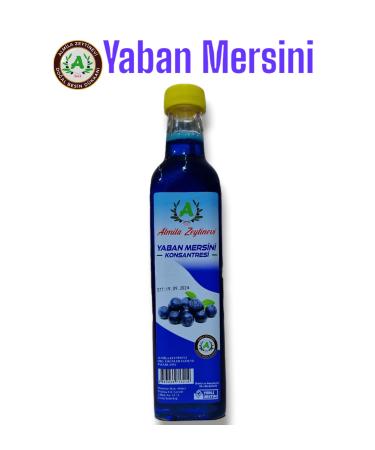 ALM LA OLIVE HOUSE BLUEBERRY CONCENTRATE