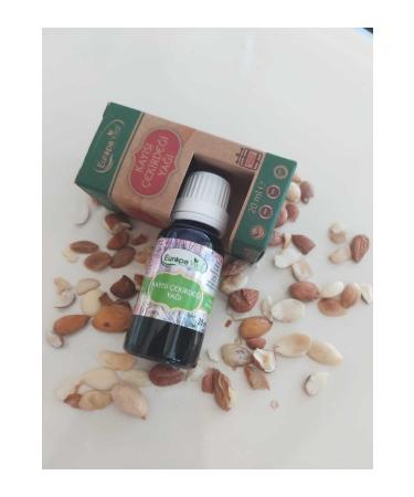 Europe Vital Apricot Kernel Oil 20 ml 0 Pure Press