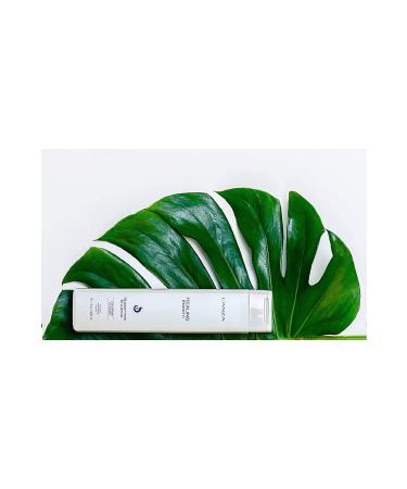 L'anza Healing Moisture: Free Radical Protective Shampoo (Gluten-Free) 10.1fl ECBeauty!Q476