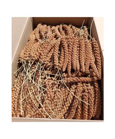 z Kayalar Yem Red Branch Millet 1 Kg