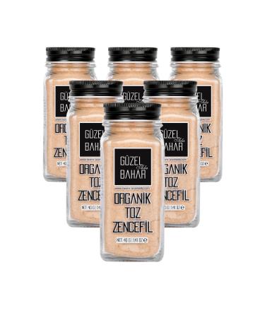 G zel Ada G da Organic Ginger Powder 6x40 Gr Advantage Package