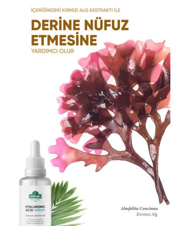 Arifo lu Hyaluronic Acid Serum 30 ml (Moisturizing Revitalizing Plumping) Hyaluronic Acid 2% - Buy Online on GoSupps.com