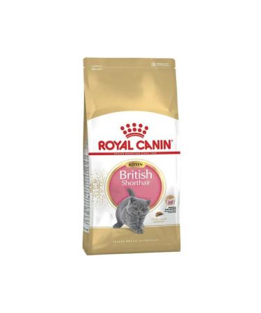 Royal Canin British Shorthair Kitten Cat Food 2 Kg - Farmapets