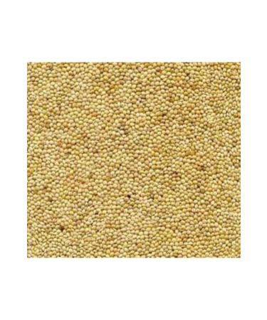 Budgie Food White Millet 5kg