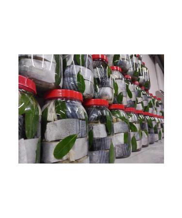 Neighboring Lakerda Sinop Lakerda 1000 gr - Buy Online on GoSupps.com