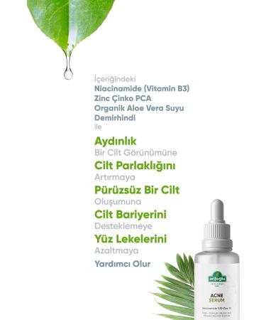 Arifo lu Anti-Acne Serum 30 ml (Helps Eliminate Acne Blackheads Redness Acne) Niacin - Buy Online on GoSupps.com