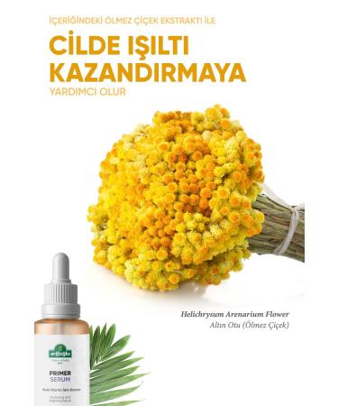 Arifo lu Primer Serum (Make-up Base) 30 ml Multi Vitamin Skin Booster - Buy Online on GoSupps.com