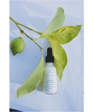 abtira Leafy Greens | Powerful Hydrating Mask with Hydrolyzed Hyaluronic Acid - Buy Online on GoSupps.com