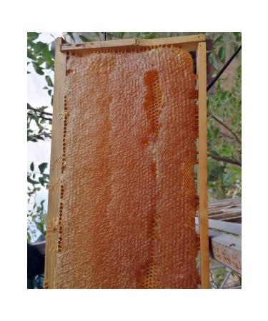 Pollen Bee Farm Organic Comb Honey Flower Honey (3-3.5 KG)