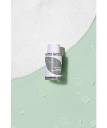 Isntree Mugwort Calming Powder Wash 15 Gr (Skin Smoothing Enzyme Cleanser) - Buy Online on GoSupps.com