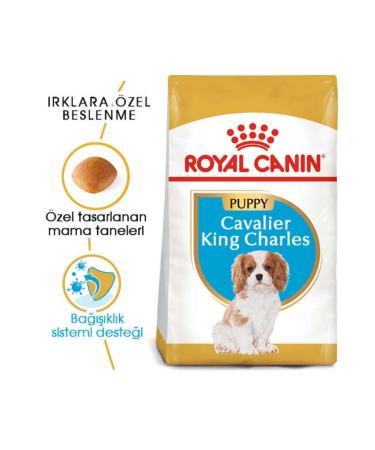 Royall Royal Canin Cavalier King Charles Junior Puppy Food 1.5 kg