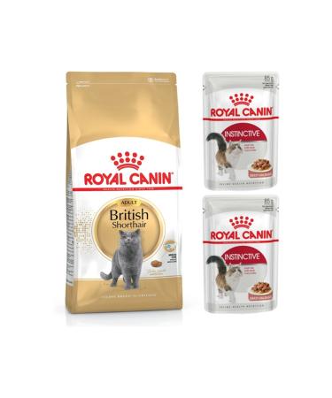 Royal Canin Adult British Shorthair Cat Food 2 Kg + Instictive Piece Meat Wet Cat Food 2 Pieces