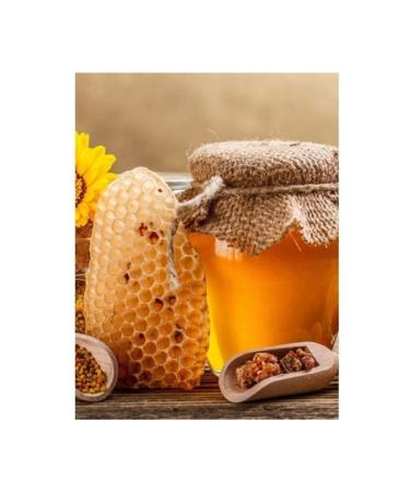 Organicmarket Kars Organic Karakovan Pure Honey 500 gr