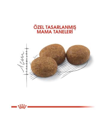 Royal Canin Sterilized Neutered Cat Food 400 gr - Buy Online on GoSupps.com