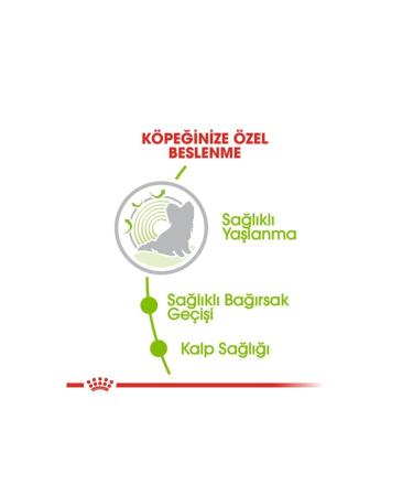 Royal Canin Small Breed Senior Dog Food 1.5kg X-Small Ageing 12+ Dry Dog Food - Buy Online on GoSupps.com