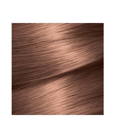 Garnier GARNIER COLOR NATURALS 6.25 CHESTNUT BROWN - Buy Online on GoSupps.com