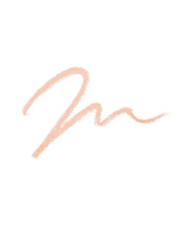 The Saem Long-Lasting Pencil Concealer/ Cover Perfection Concealer Pencil 1.0 Clear Beige - Buy Online on GoSupps.com