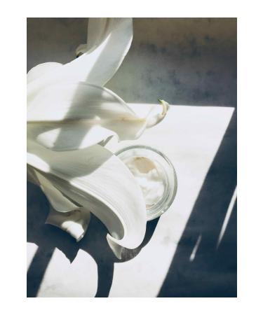 abtira White Lotus Light Moisturizing Cream - Buy Online on GoSupps.com