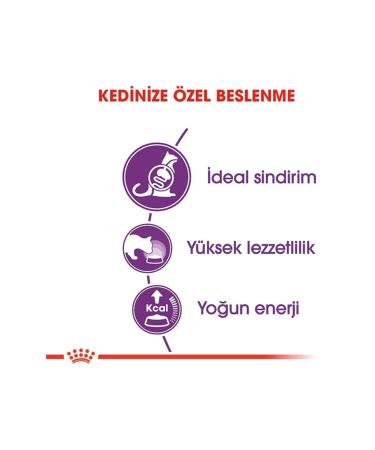 Royal Canin Sensible Sensitive Digestive System Supporting Cat Food 4kg Regular Adult Cat Food - Buy Online on GoSupps.com