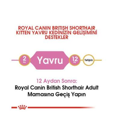 Royal Canin Kitten British Shorthair Kitten Cat Food 2 Kg - Buy Online on GoSupps.com