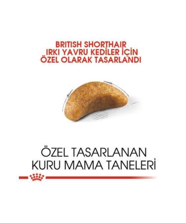 Royal Canin Kitten British Shorthair Kitten Cat Food 2 Kg - Buy Online on GoSupps.com