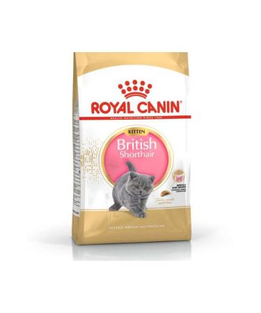 Royal Canin Kitten British Shorthair Kitten Cat Food 2 Kg - Buy Online on GoSupps.com