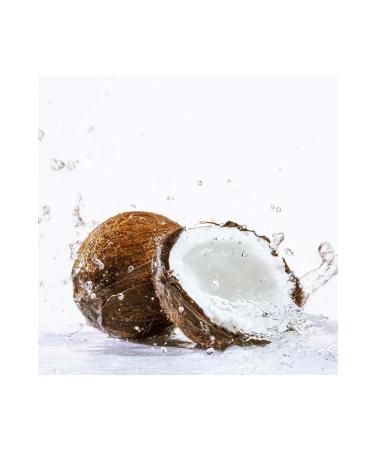 Monin Coconut Syrup 700 ml - Buy Online on GoSupps.com